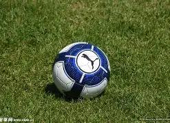 商洛举办,世界中学生,排球锦标赛,B体育官网,B体育直播,体育赛事直播,足球直播