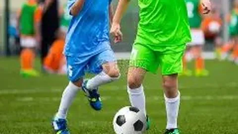 B体育 资讯 101453 wro