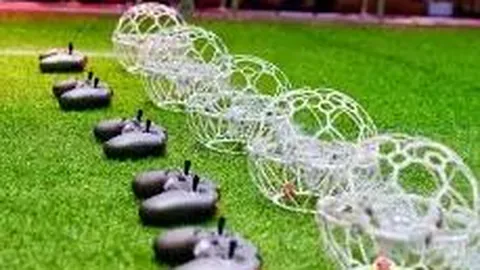 哈萨克斯坦警方前往丹麦学习国际足球赛事安全防护措施