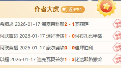 柏林联合力克沃尔夫斯堡：德甲第21轮1-0小胜，精彩瞬间回放